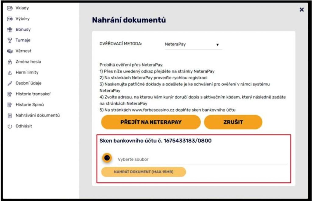 Neterapay platba mobilem sms