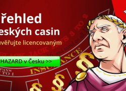 PŘEHLED ONLINE CASIN v Česku v roce 2020